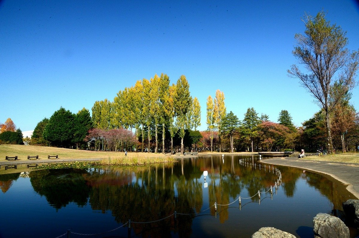 🌳 사이타마 현립 사이노모리 이루마 공원 이미지 1